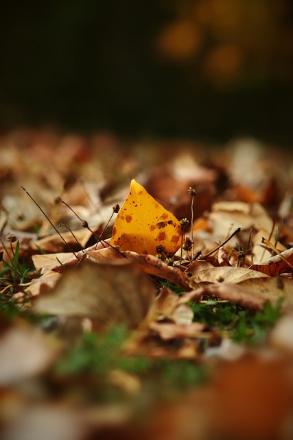 复制的经典 复制的经典