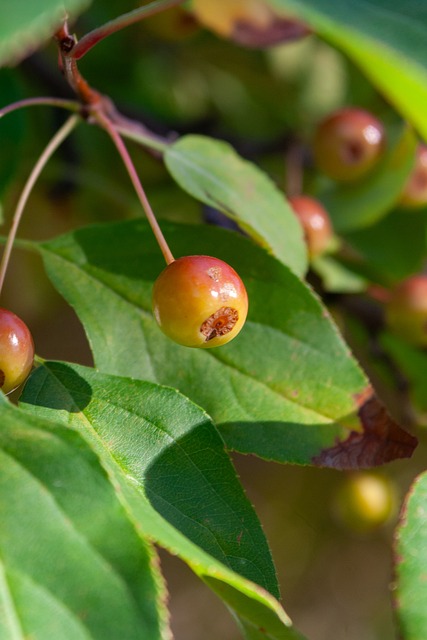 频频压制对 频频压制对