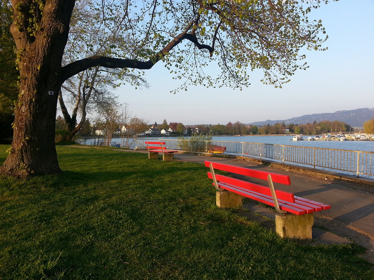 国际体育新 国际体育新