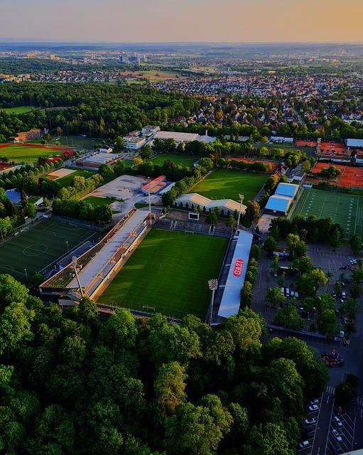 动和创造力 动和创造力